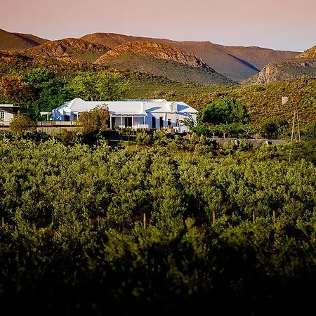 Vrisch Gewagt Boutique Self-Catering Olive Farm Guest House Prince Albert Exterior photo