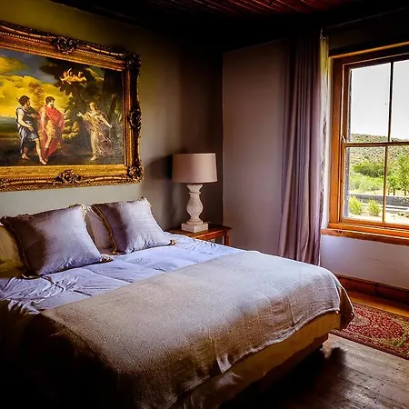 Vrisch Gewagt Boutique Self-Catering Olive Farm Guest House Prince Albert Exterior photo