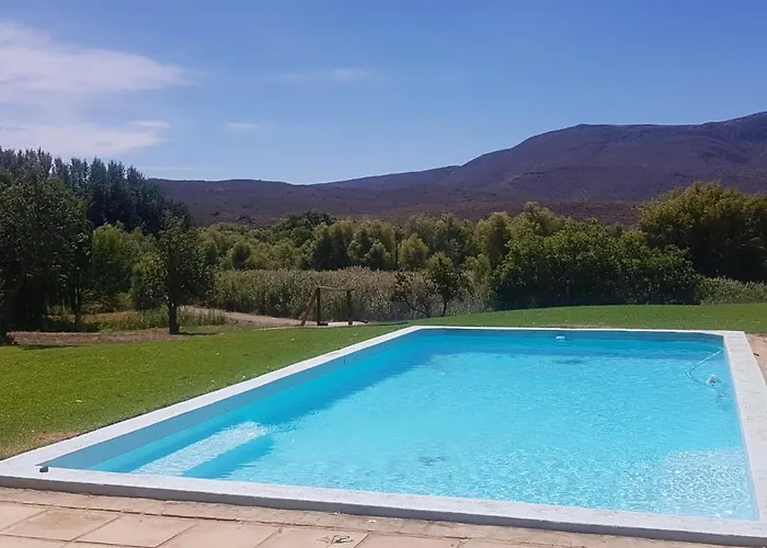 Vrisch Gewagt Boutique Self-Catering Olive Farm