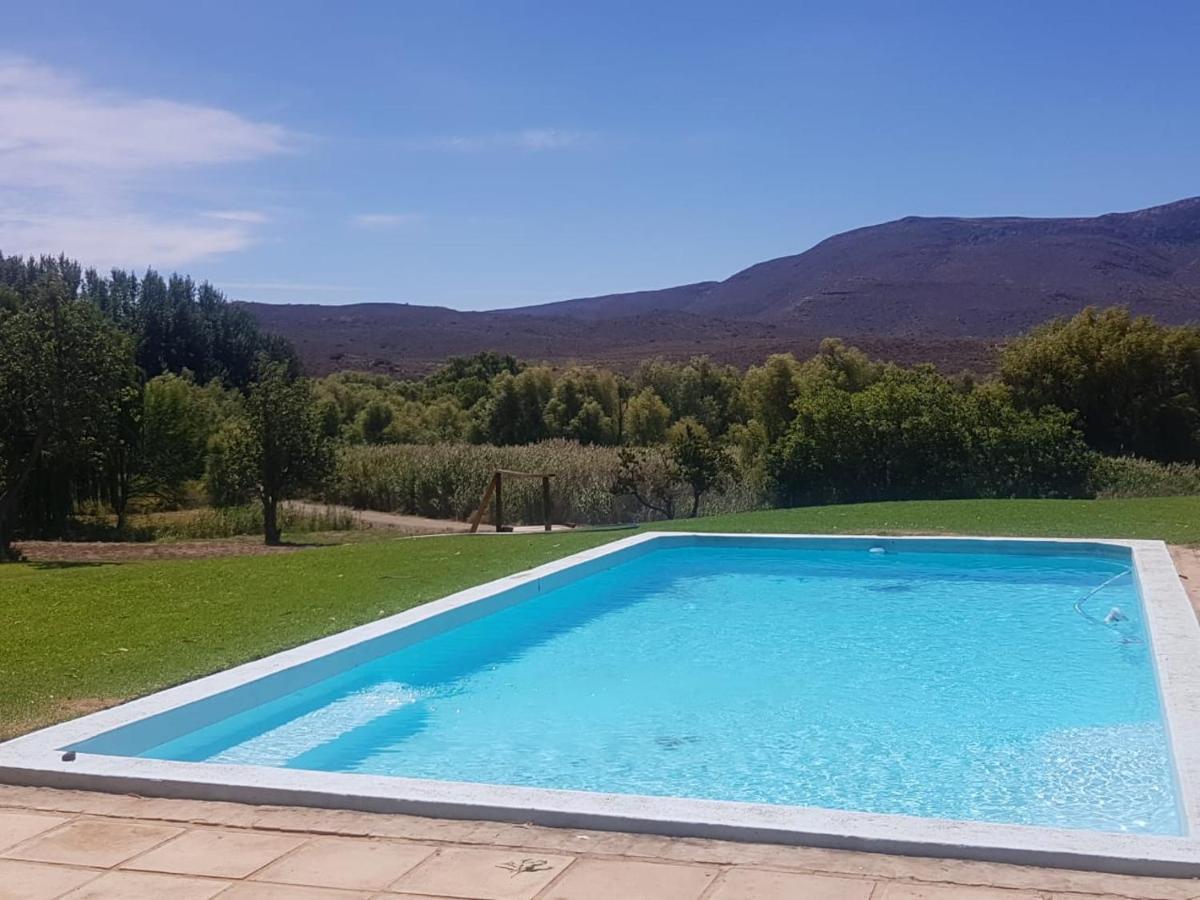 Vrisch Gewagt Boutique Self-catering Olive Farm