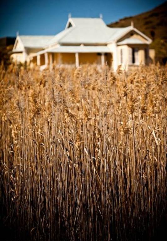 Vrisch Gewagt Boutique Self-catering Olive Farm Country house *