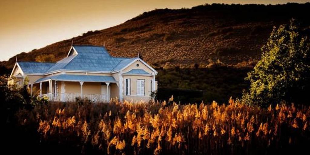 Vrisch Gewagt Boutique Self-catering Olive Farm Country house