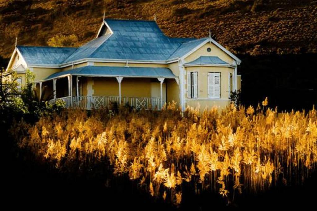 Country house Vrisch Gewagt Boutique Self-catering Olive Farm *