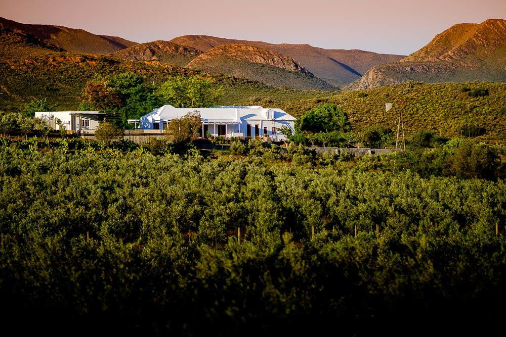 Country house Vrisch Gewagt Boutique Self-catering Olive Farm
